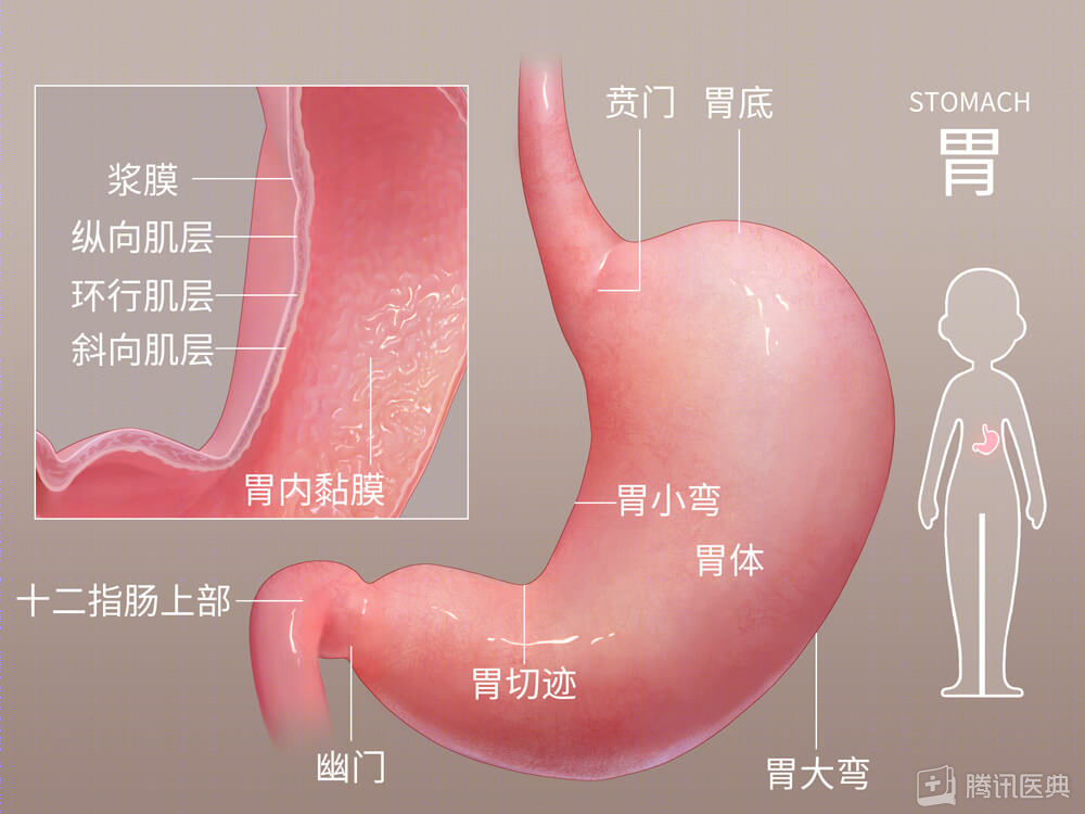 36歲女子，從胃痛到查出胃癌僅3周！醫(yī)生：這5類人最危險(xiǎn)